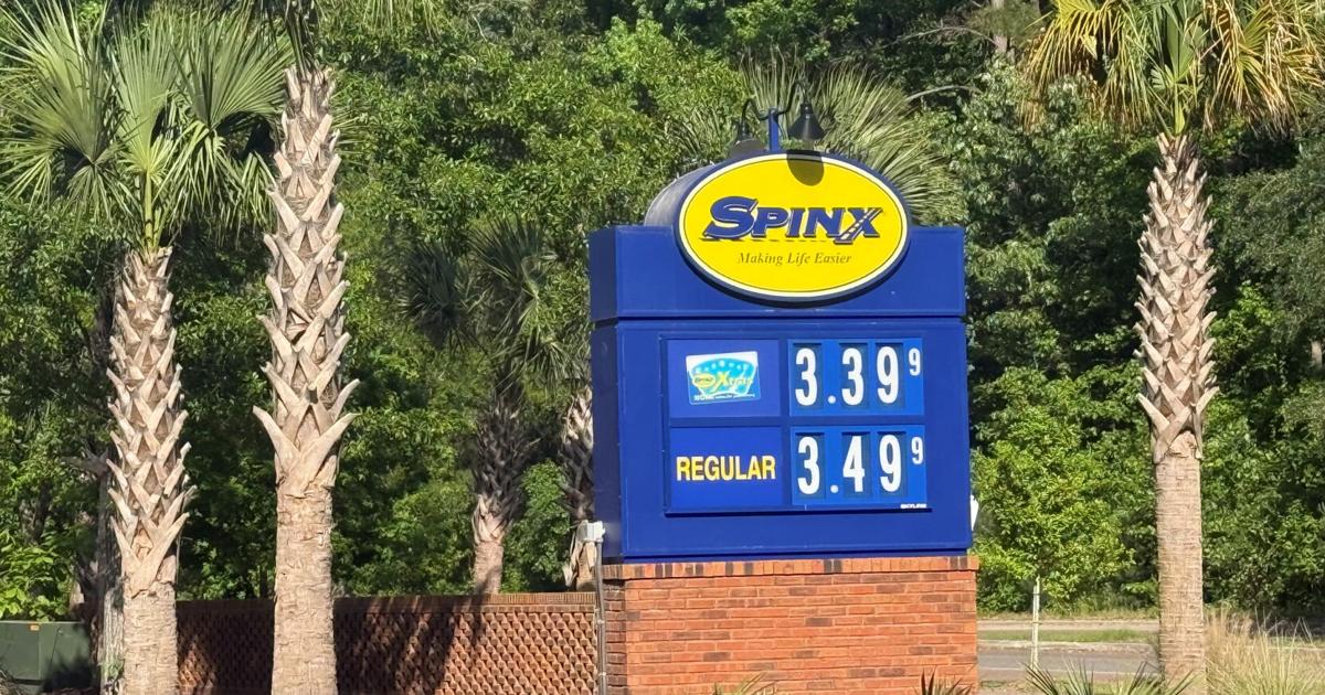 Gas prices could stay above $3 for a year. These SC programs will cut your cost at the pump.