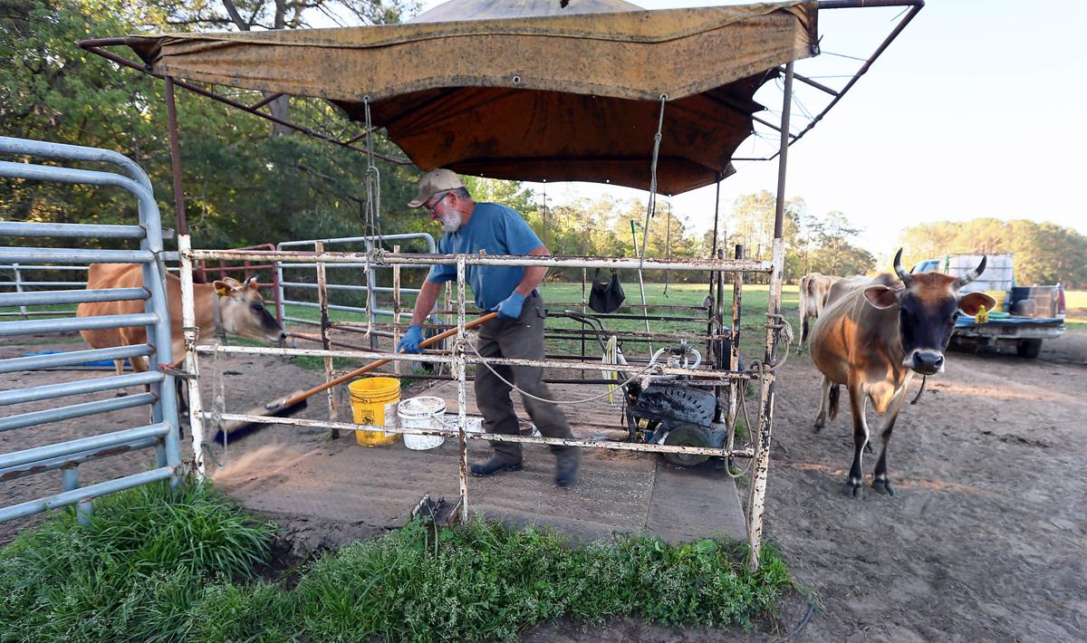 sweep raw milk