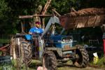 SC farmers look to adapt pandemic successes for life after COVID-19