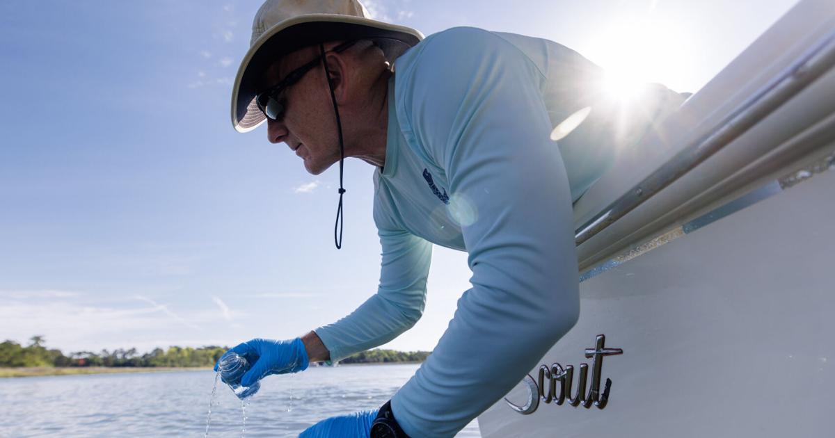 Which waterway is filthiest? Years of testing reveals Charleston area's dirtiest waters.