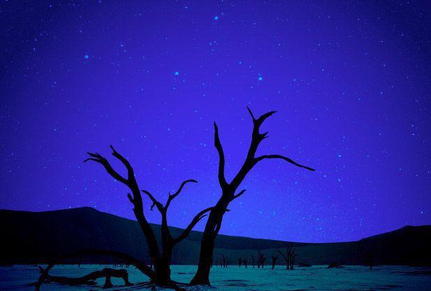 Samsara Is Beautiful But Explanations Are In Order Charleston Scene Postandcourier Com