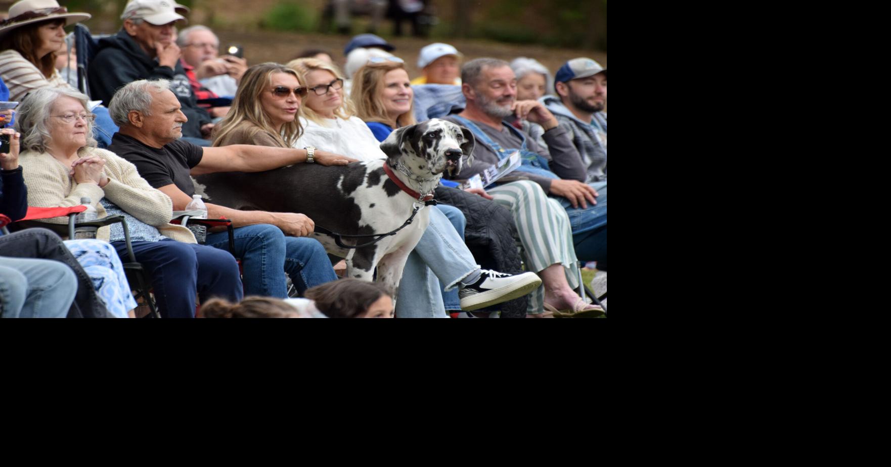 Whiskey Business welcomes hundreds to begin annual Hopelands Concert Series