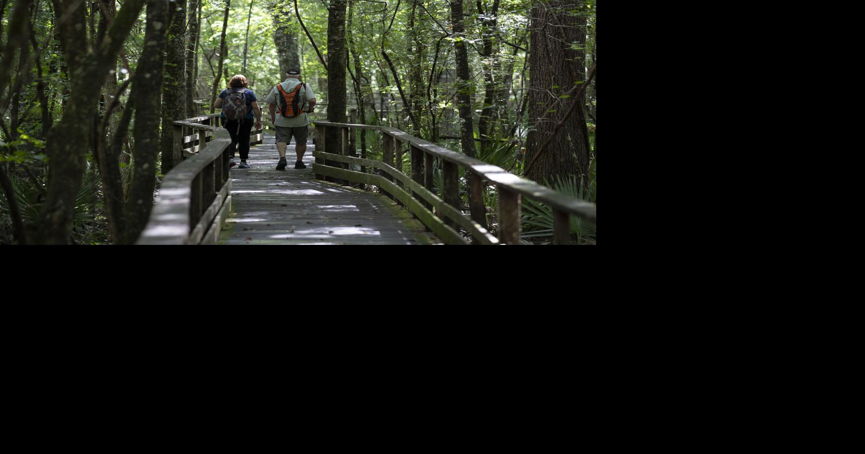 Harleyville is home to an ancient forest and bird sanctuary