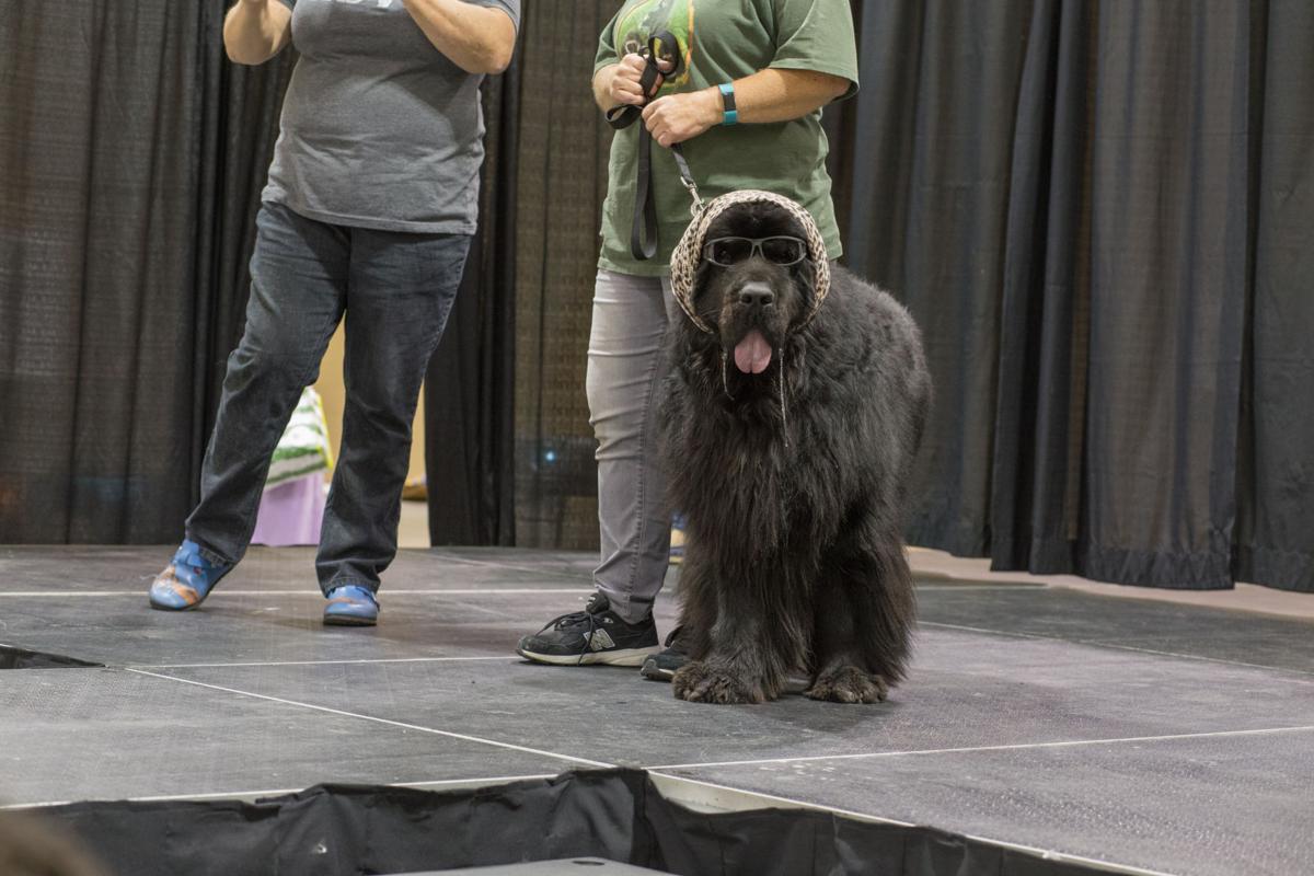 Pet Expo-October 14, 2017-948