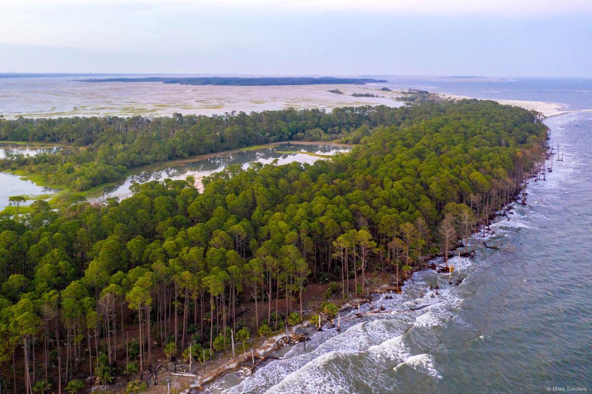 Board Denies Controversial Plan To Put Luxury Ecotourism Resort On Sc Barrier Island Real Estate Postandcourier Com