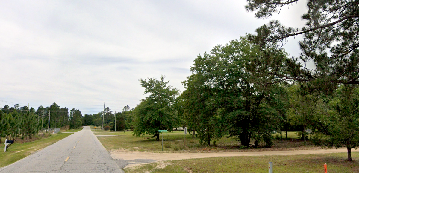 SC county approves incentives for controversial gas power plant. What happens now?