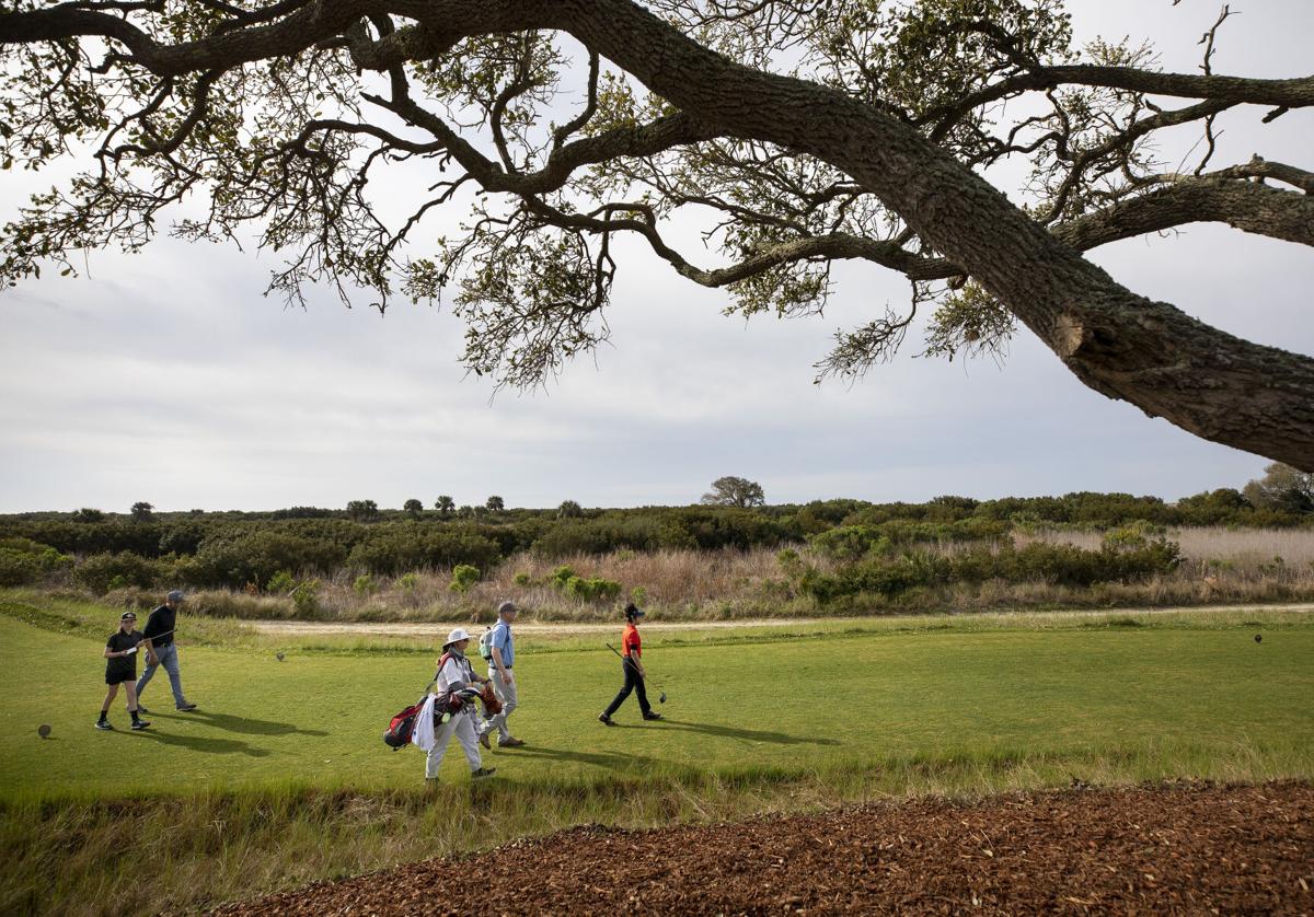 Course view.jpg