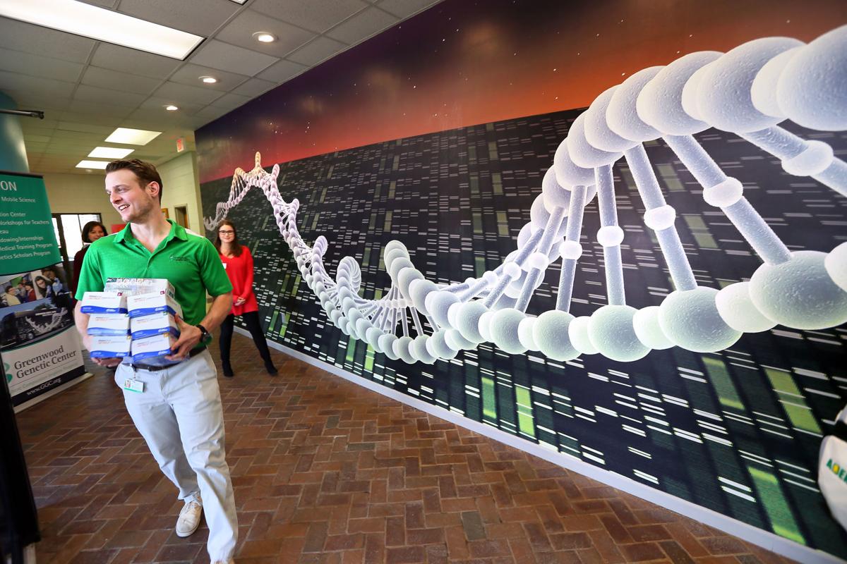 04 chromosome mural greenwood genetic center.jpg