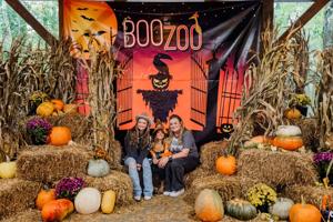 2023 Boo-47 NEW