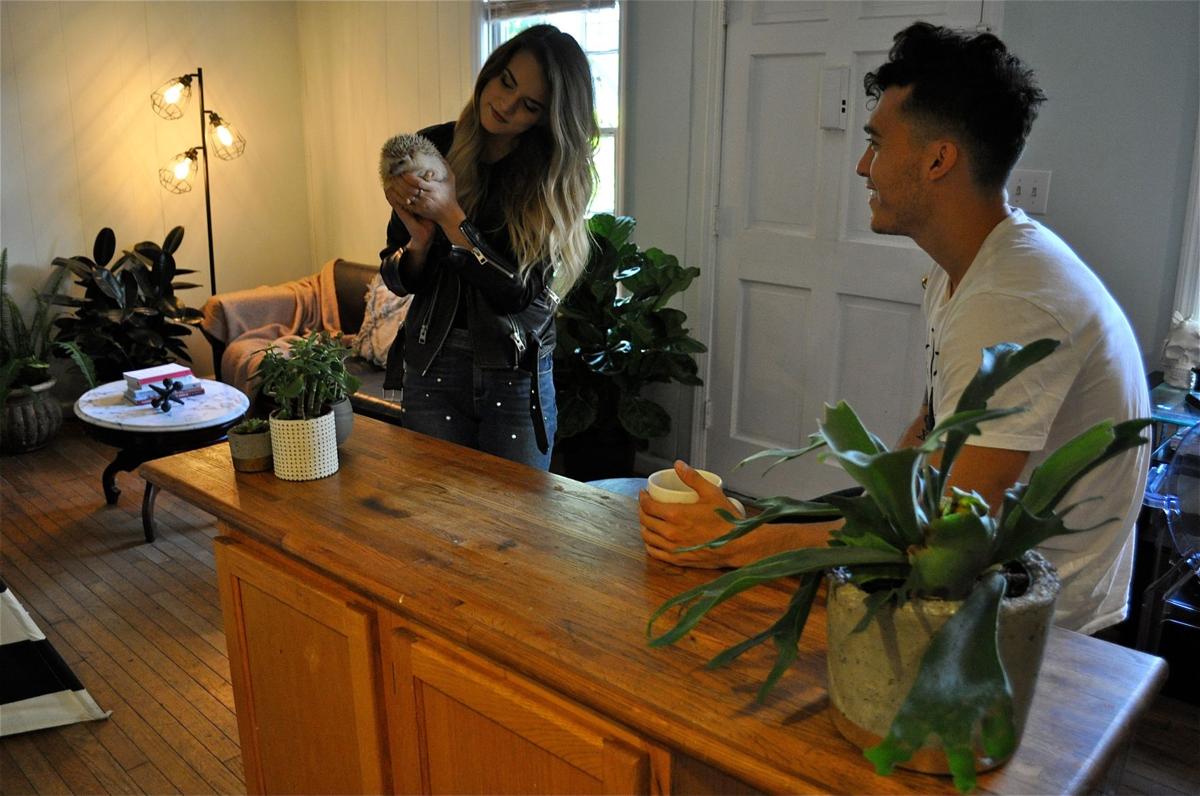 Millennials embracing houseplants emerged as a top trend ... Millennials embracing houseplants emerged as a top trend ... - 1200 x 796 jpeg 117kB