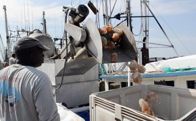 Can S C Stomach A Jellyfish Industry Food Postandcourier Com
