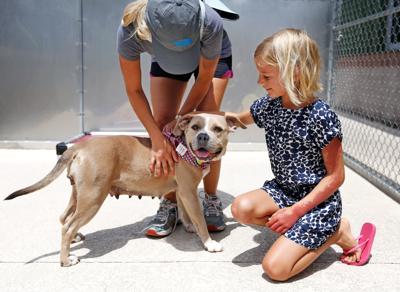 Q A Charleston Animal Society Champions No Kill Mission Parents