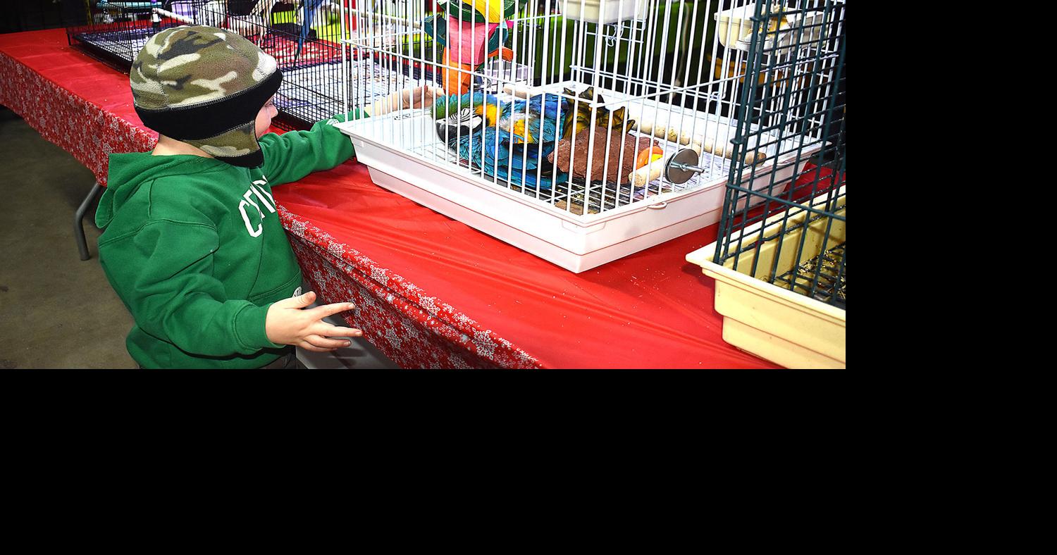 Exotic Bird Fair returns to Aiken fairgrounds this weekend