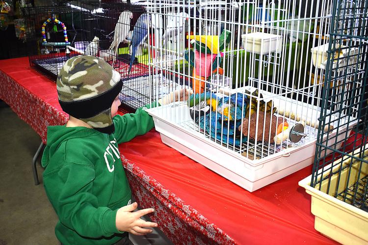 Exotic Bird Fair returns to Aiken fairgrounds this weekend