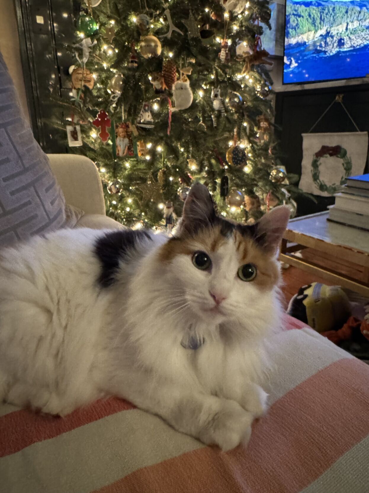 Page A3 | E‑Paper – The Post and Courier | Full Digital SC’s Top Newspaper