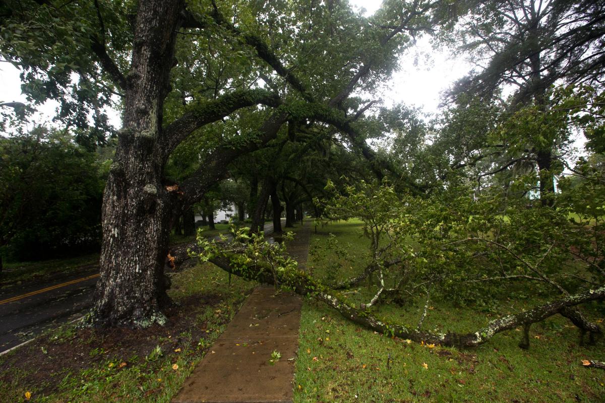 Photos Hurricane Dorian coverage along the coast from McClellanville