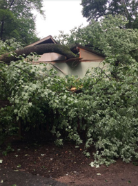 Bobby Pearse center roof damaged by tree