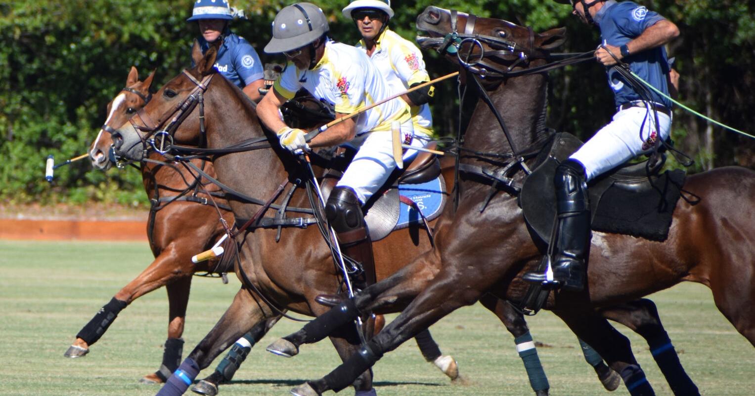 Give Me Wings 20-goal polo match provides fun, excitement while raising money for good cause - Vimarsana News