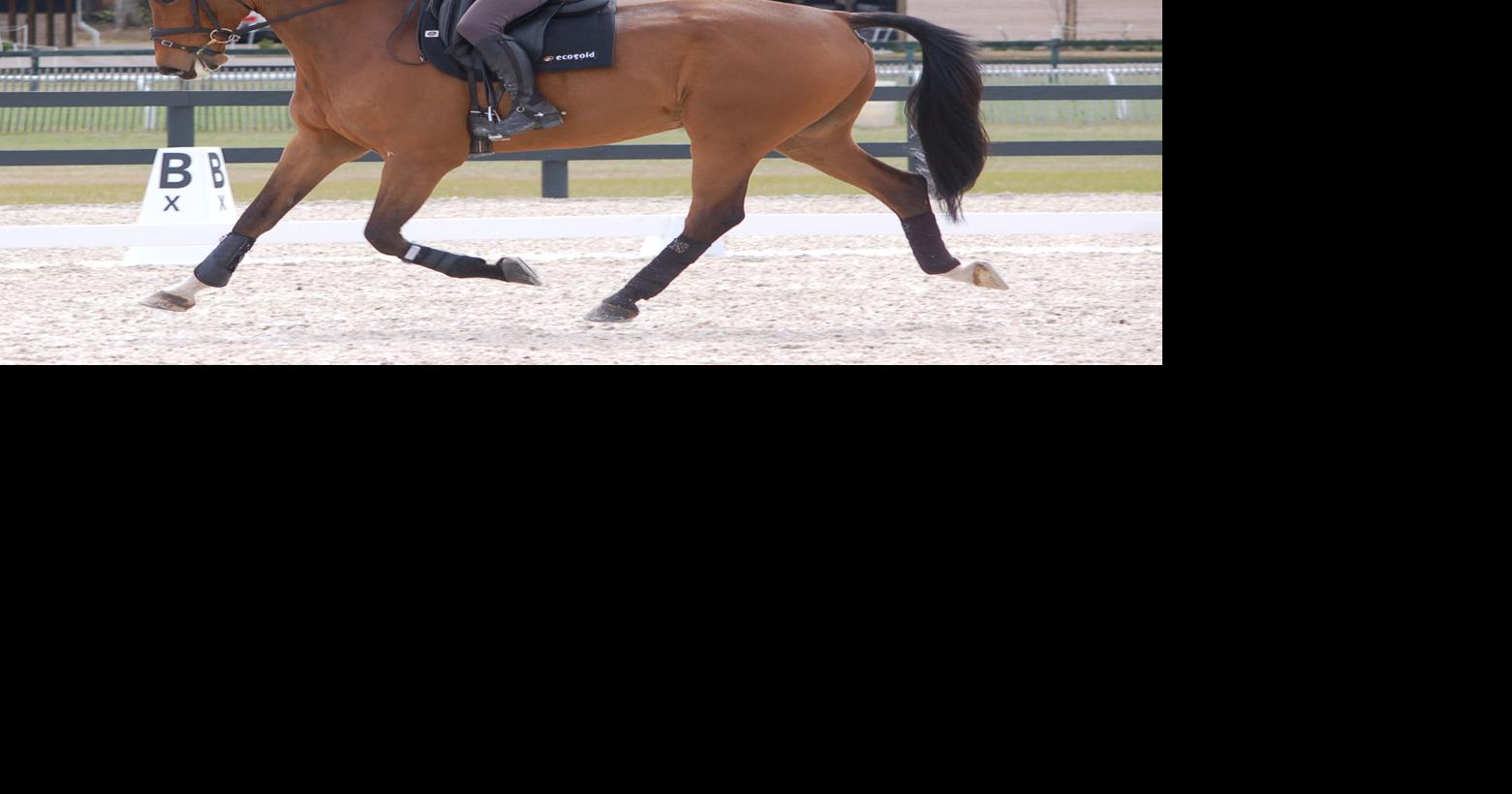 Aiken's First Grand Prix Eventing Showcase to be held at Bruce's Field