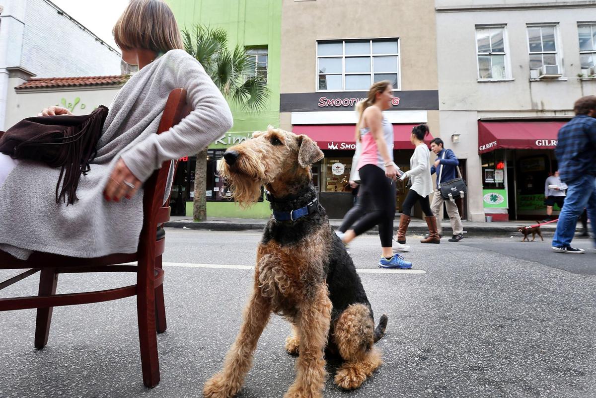 2nd Sunday on King Street