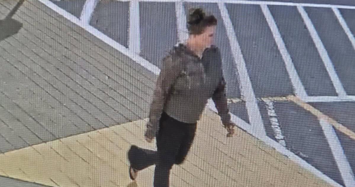 SC police obtain new video of missing Lexington woman as national search intensi...