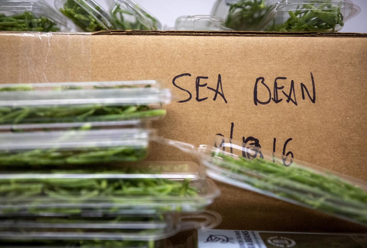 sea beans.jpg