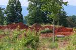 Greenville residential lots have gotten a lot smaller. Here's what's behind the trend.