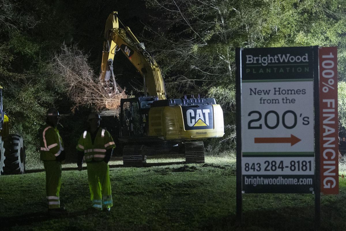 tree removal.jpg