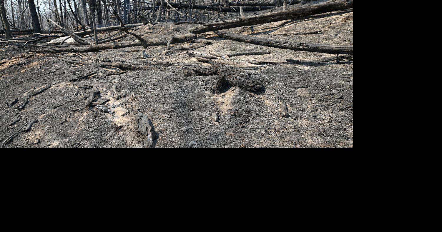 Rain may help fight Table Rock, Persimmon Ridge fires