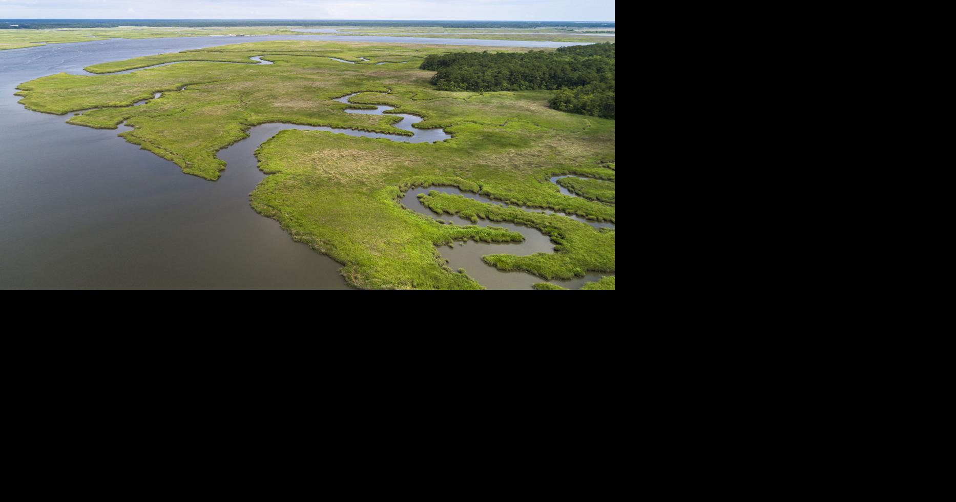 Will new federal rules threaten the wetlands that provide Charleston's drinking water? It's complicated.