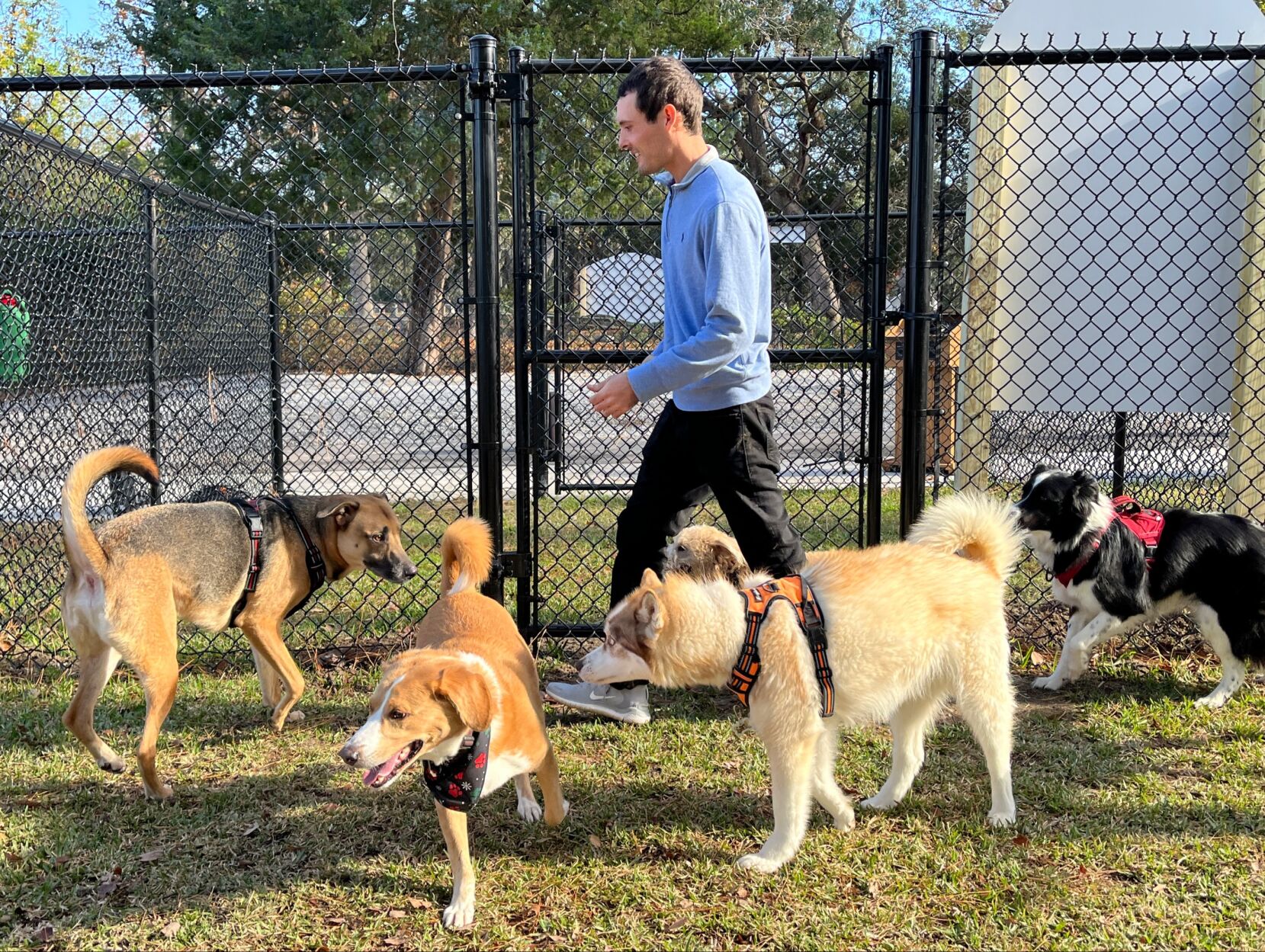 Exploring Dog Parks in Myrtle Beach, SC: A Haven for Pets and Owners