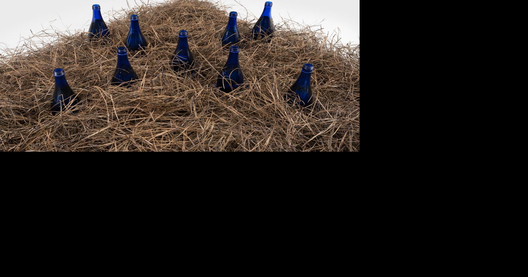 Butter Pecan solo exhibit by Charleston artist Kolpeace at the Gibbes Museum of Art