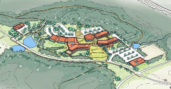 South Carolina's first veterinary school is coming to Clemson with $285M vote - Vimarsana News
