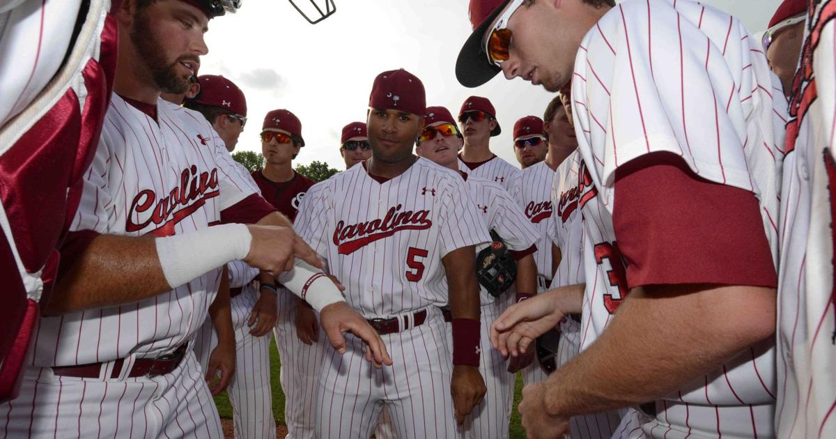 Gamecocks baseball team slated for 13 TV games | Sports ...