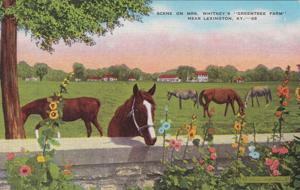 City of Aiken Parks, Recreation, and Tourism Department Announces New Exhibit: 'Postcards: Horse Racing History Through the Mail'