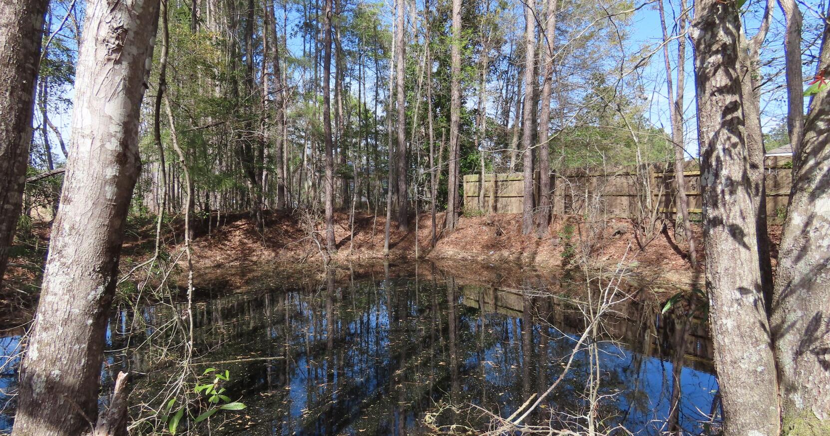 Preserve Mars Hill atomic bomb site | Pee Dee | postandcourier.com - Vimarsana News