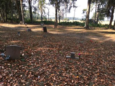 AACHAF22_DaufuskieIsland_MaryFieldCemetery_crSallieAnnRobinson.jpg
