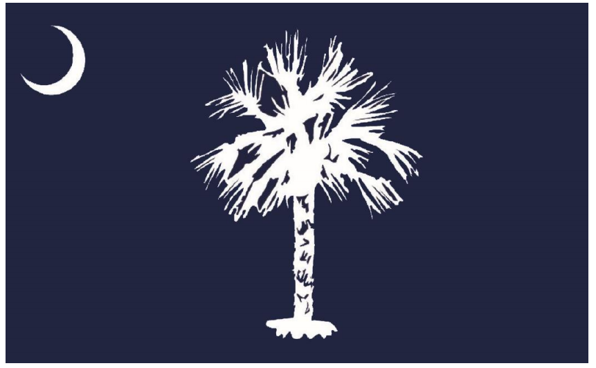 South Carolina historians decide on a new state flag design |  Columbia