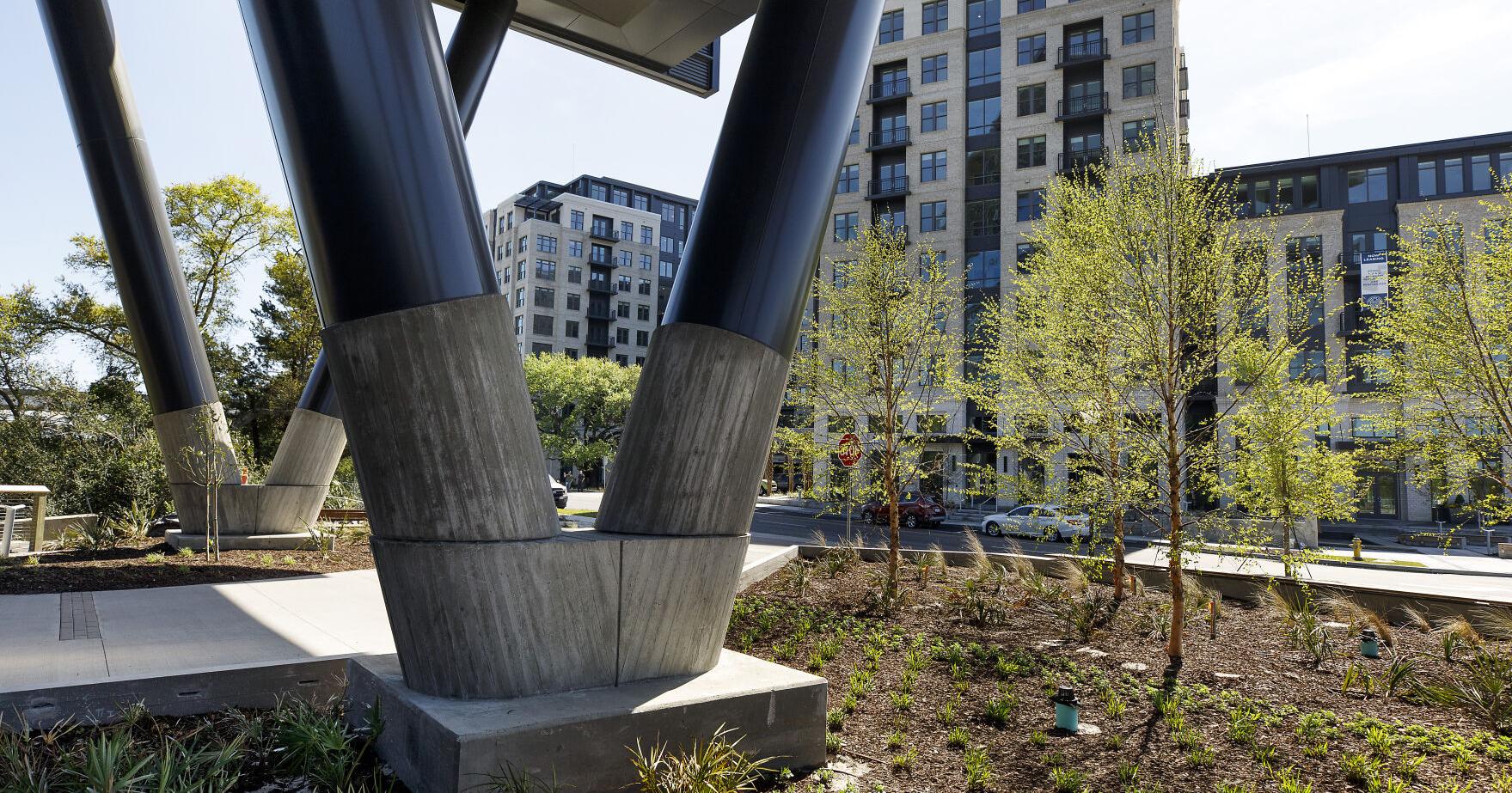 City cuts rain garden grant program | SC Climate and Environment News - Vimarsana News