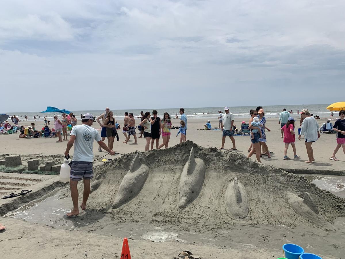 Dolphin