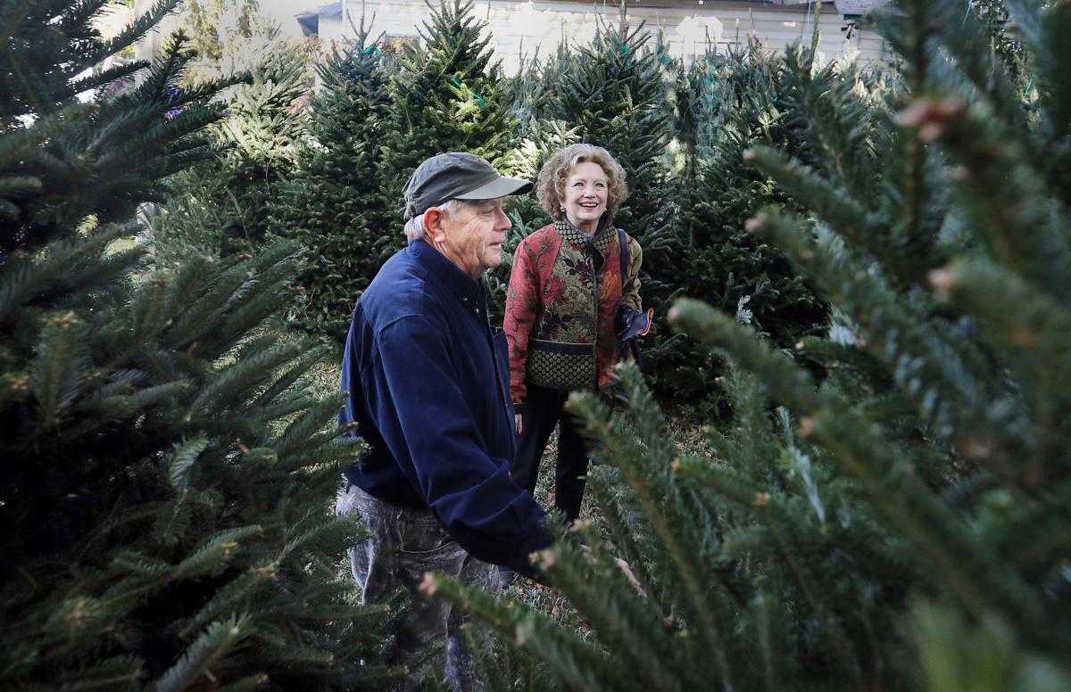 Christmas Trees Expected To Cost A Little More This Year Across Sc Business Postandcourier Com