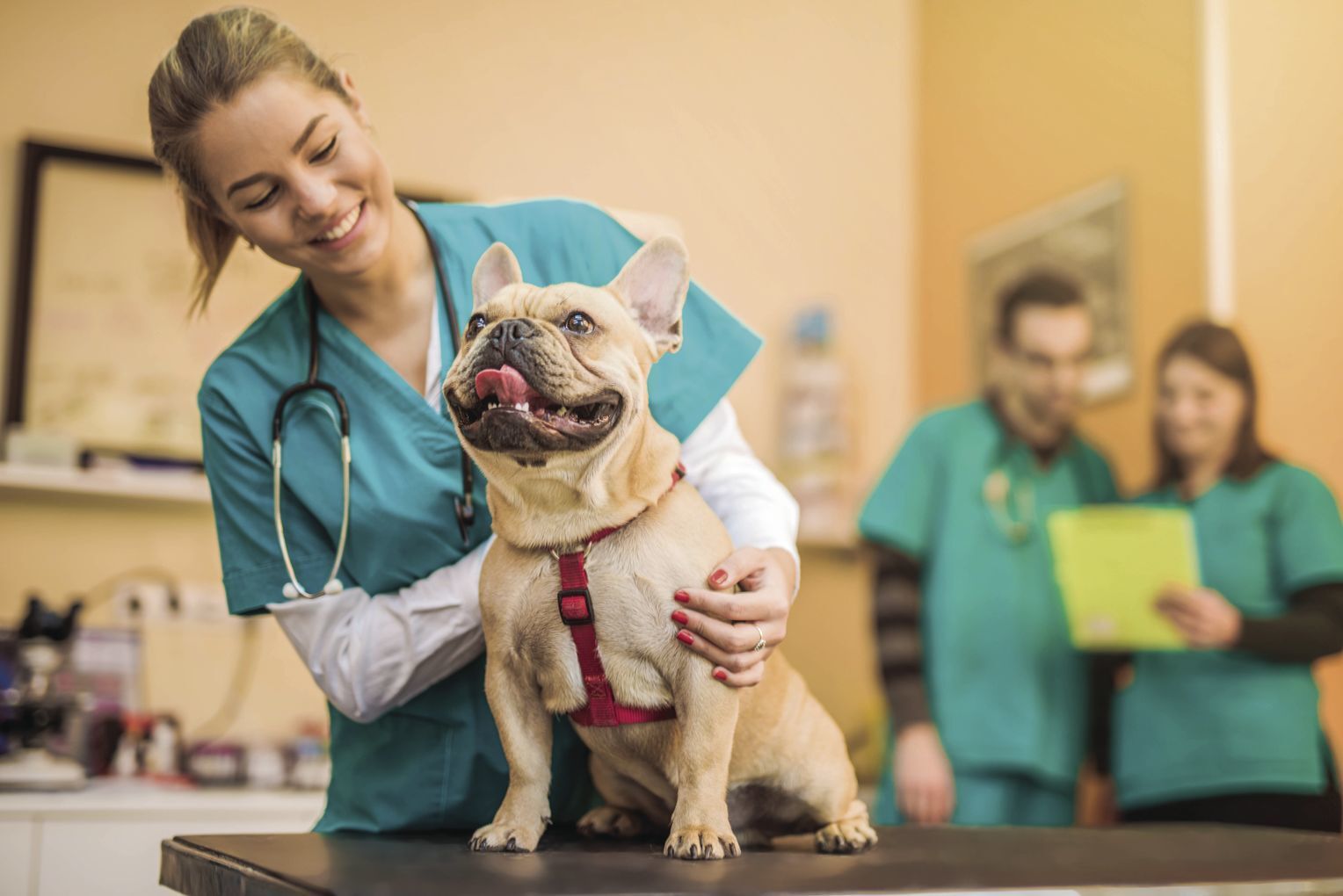 buy dog vaccines near me