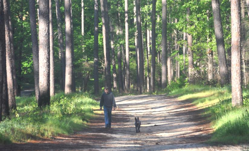 Walking tour of Hitchcock Woods to be part of Earth Day Aiken