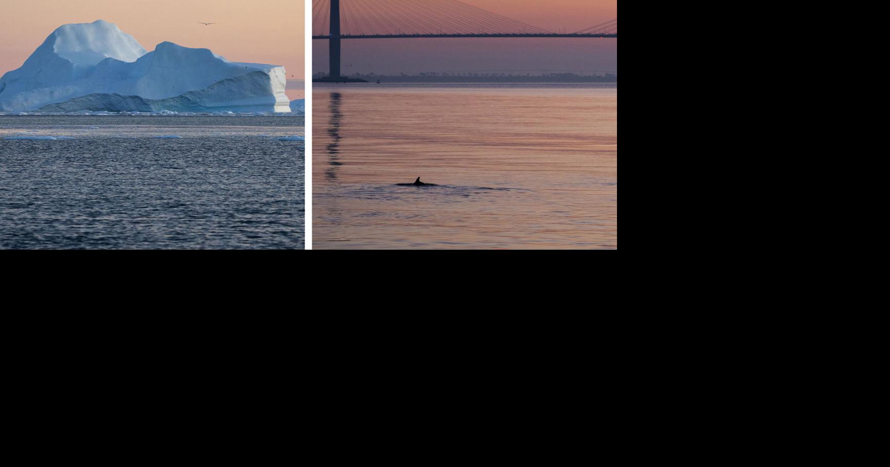 Photo essay Connecting Charleston and Greenland News