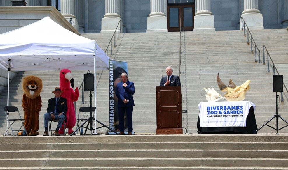 SC Legislators Celebrate 48-year History Of Riverbanks Zoo By ...