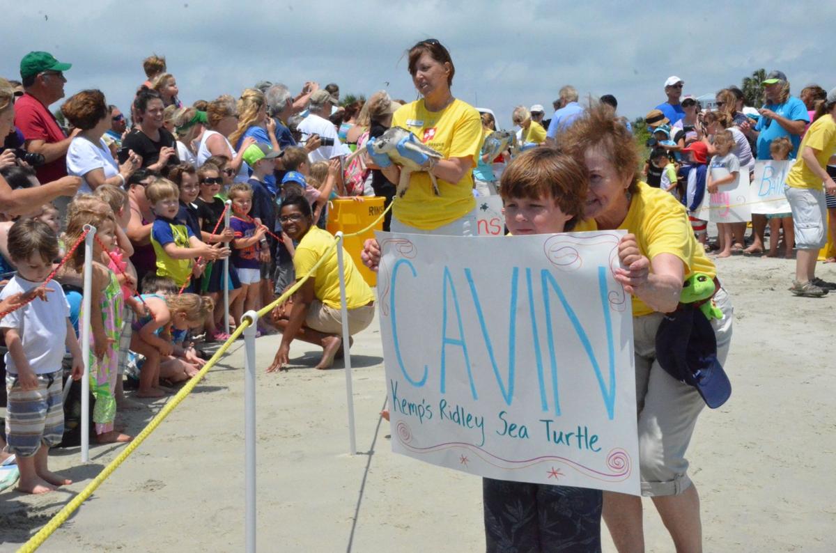 SC Aquarium releases six rehabbed sea turtles