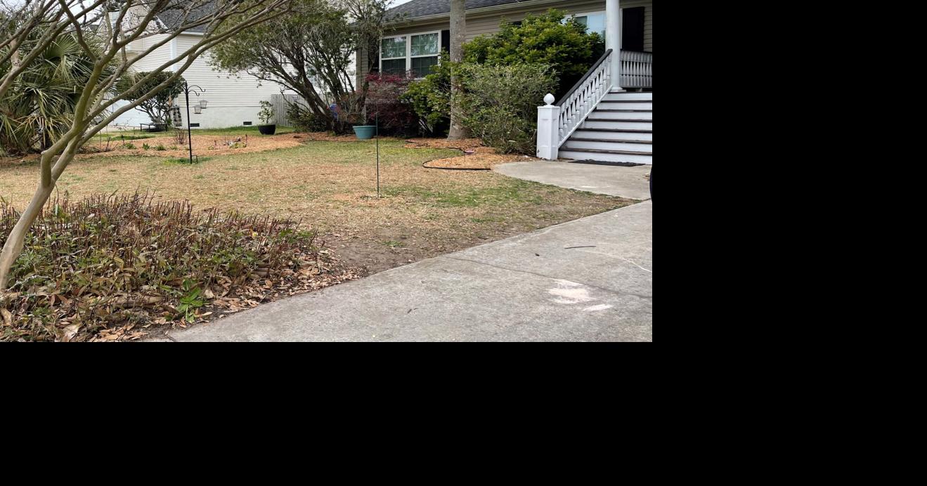 SC lawmers must investigate HOA complaints, curb rogue ones