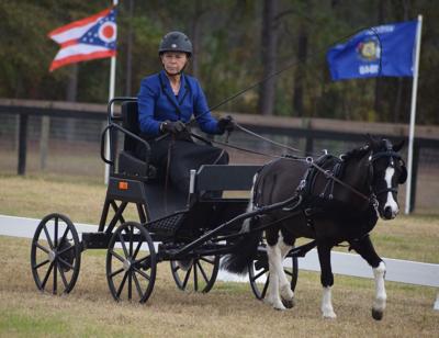 North Carolina resident, with ties to Aiken area, among standouts in Windsor carriage driving competition 10