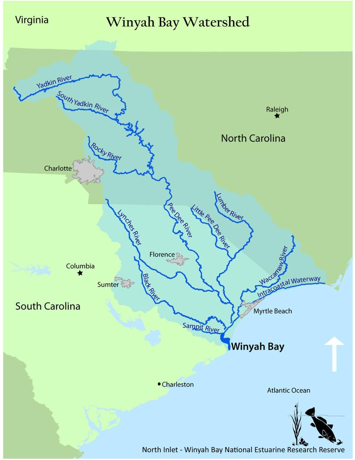 pee dee river map