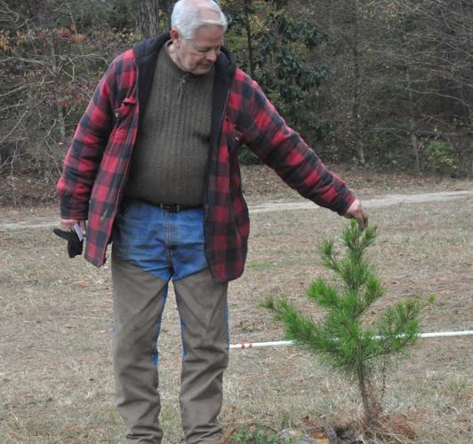 A Lebanon family tradition Christmas tree farm one of the last of its